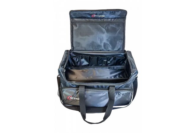 bag sac de rangement et organisation compacte et organisé carpolish
