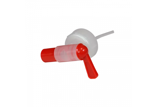 LES INCONTOURNABLES !