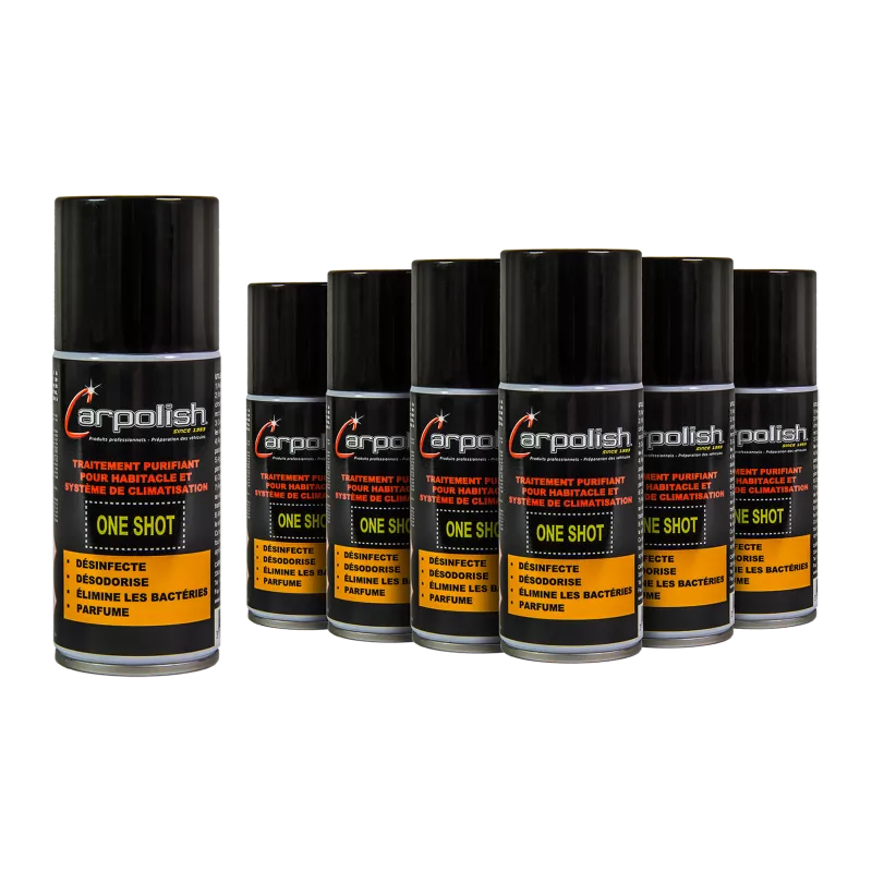 OFFRE SPÉCIALE : HABITACLE SAIN !