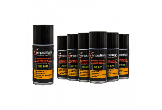 OFFRE SPÉCIALE : HABITACLE SAIN !